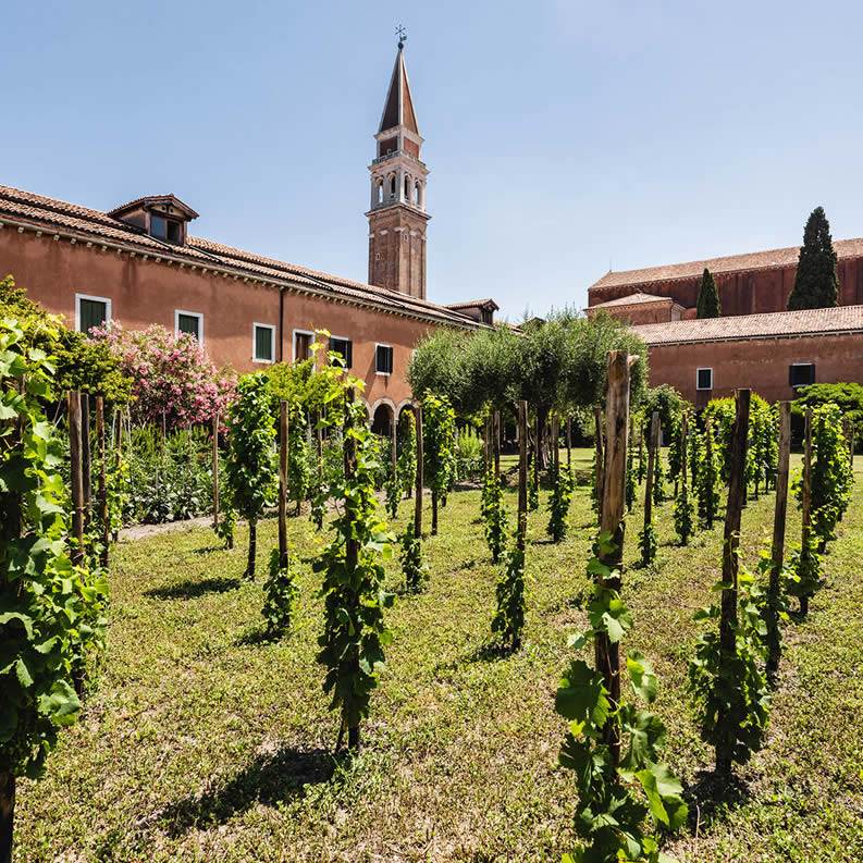 San Francesco della vigna