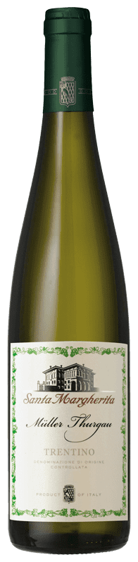 Müller Thurgau Trentino DOC