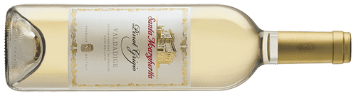 Pinot Grigio<br/> Valdadige DOC