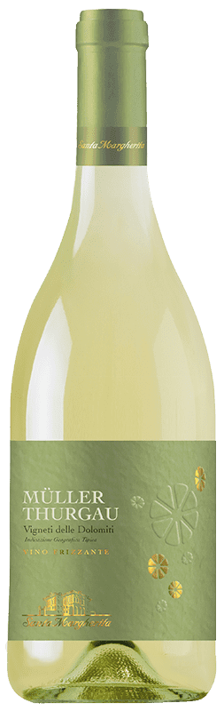 Müller Thurgau Linea “Onda” Vigneti delle Dolomiti IGT