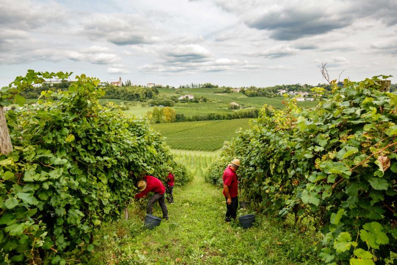 SANTA MARGHERITA IS AT THE 55TH EDITION OF VINITALY