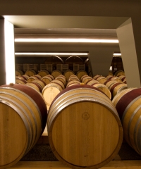 Enoturismo digitale: visite in cantina Santa Margherita a portata di clic
