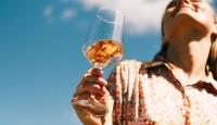 Storia del vino rosato e altre curiosità