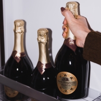 Vini versatili: significato ed esempi