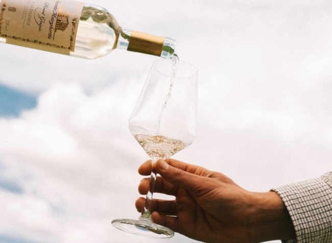 Dove si possono acquistare i vini di Santa Margherita?